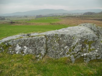 Digital photograph of panel to east, Scotland's Rock Art Project, Dunlichity Farm, Highland