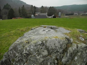 Digital photograph of panel to north, Scotland's Rock Art Project, Dunlichity Farm, Highland