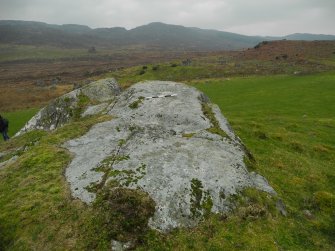 Digital photograph of panel to south, Scotland's Rock Art Project, Dunlichity Farm, Highland