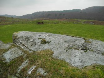 Digital photograph of panel to west, Scotland's Rock Art Project, Dunlichity Farm, Highland