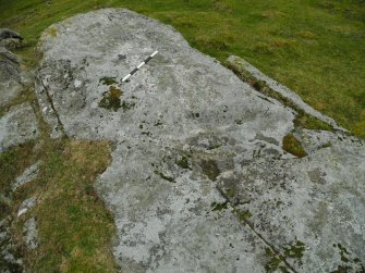 Digital photograph of panel, Scotland's Rock Art Project, Dunlichity Farm, Highland