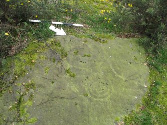 Digital photograph of panel, Scotland's Rock Art Project, Castleton 10, Stirling