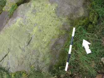 Digital photograph of rock art panel context, Scotland's Rock Art Project, Castleton 10, Stirling