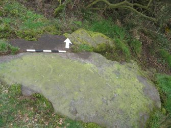 Digital photograph of rock art panel context, Scotland's Rock Art Project, Castleton 10, Stirling