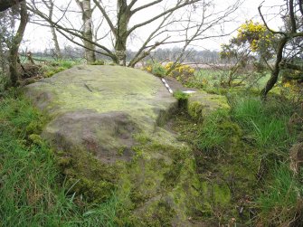 Digital photograph of panel in context with scale, Scotland's Rock Art Project, Castleton 10, Stirling