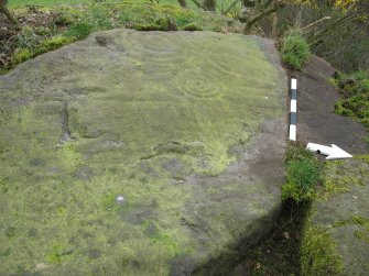 Digital photograph of panel to west, Scotland's Rock Art Project, Castleton 10, Stirling