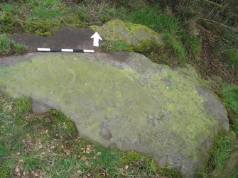 Digital photograph of panel to north, Scotland's Rock Art Project, Castleton 10, Stirling