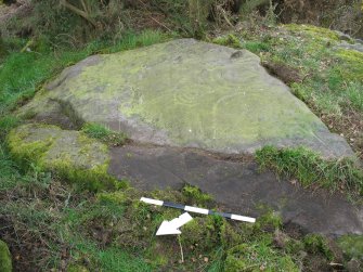 Digital photograph of panel to south-east, Scotland's Rock Art Project, Castleton 10, Stirling