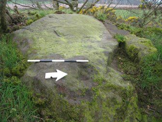 Digital photograph of panel to west, Scotland's Rock Art Project, Castleton 10, Stirling