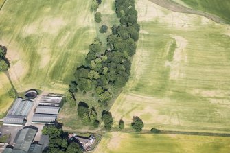 Oblique aerial view.