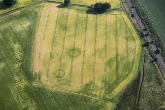 Oblique aerial view.