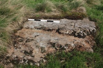 Digital photographs of rock art panel context, Scotland's Rock Art Project, Carlin Crags 1, East Renfrewshire