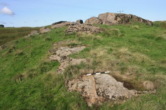 Digital photographs of rock art panel context, Scotland's Rock Art Project, Carlin Crags 1, East Renfrewshire