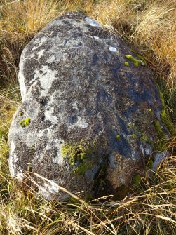 Digital photographs of rock art panel context, Scotland's Rock Art Project, Learable Hill, Highland