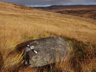 Digital photograph of panel to north, from Scotland's Rock Art Project, Learable Hill, Highland