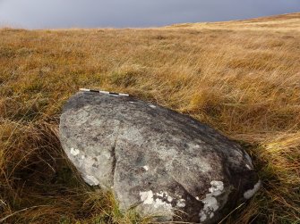 Digital photographs of rock art panel context, Scotland's Rock Art Project, Learable Hill, Highland