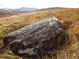 Digital photograph of panel to south, from Scotland's Rock Art Project, Learable Hill, Highland