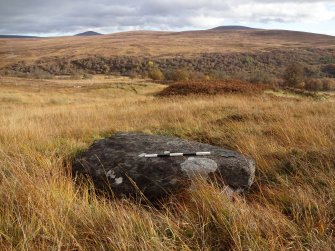 Digital photograph of panel to east, from Scotland's Rock Art Project, Learable Hill, Highland