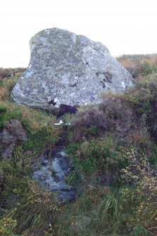 Digital photograph of panel to south, from Scotland's Rock Art Project, Lochan Hakel, Highland