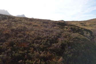 Digital photographs of rock art panel context, Scotland's Rock Art Project, Lochan Hakel, Highland