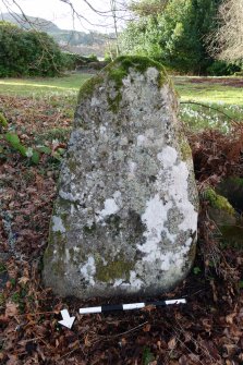 Digital photograph of perpendicular to carved surface(s), from Scotland's Rock Art project, Moniack Castle Balblair Stone, Highland
