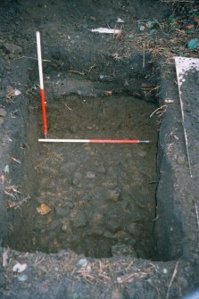 Archaeological evaluation, Stony surface at base of evaluation trench, St. Michael's Bakery, Linlithgow, West Lothian