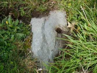 Digital photograph of rock art panel context, Scotland's Rock Art Project, Craigberoch 2, Bute, Argyll and Bute