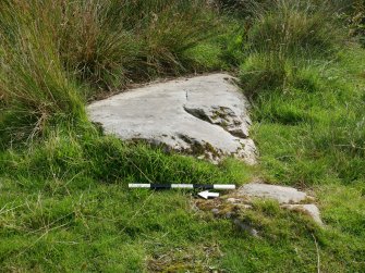 Digital photograph of rock art panel context, Scotland's Rock Art Project, Craigberoch 2, Bute, Argyll and Bute