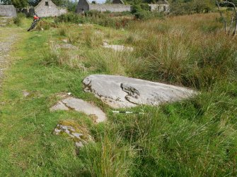 Digital photograph of rock art panel context, Scotland's Rock Art Project, Craigberoch 2, Bute, Argyll and Bute