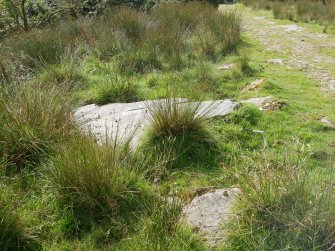 Digital photograph of rock art panel context, Scotland's Rock Art Project, Craigberoch 2, Bute, Argyll and Bute