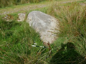 Digital photograph of rock art panel context, Scotland's Rock Art Project, Craigberoch 2, Bute, Argyll and Bute