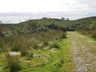 Digital photograph of rock art panel context, Scotland's Rock Art Project, Craigberoch 2, Bute, Argyll and Bute