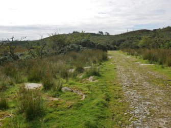 Digital photograph of rock art panel context, Scotland's Rock Art Project, Craigberoch 2, Bute, Argyll and Bute