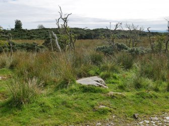 Digital photograph of rock art panel context, Scotland's Rock Art Project, Craigberoch 2, Bute, Argyll and Bute