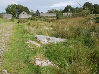 Digital photograph of rock art panel context, Scotland's Rock Art Project, Craigberoch 2, Bute, Argyll and Bute