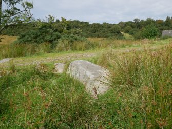 Digital photograph of rock art panel context, Scotland's Rock Art Project, Craigberoch 2, Bute, Argyll and Bute