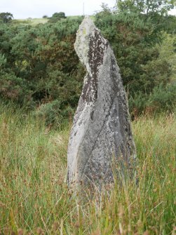 Digital photograph of rock art panel context, Scotland's Rock Art Project, Craigberoch 2, Bute, Argyll and Bute