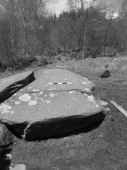 Digital photograph of panel in context with scale, from Scotland's Rock Art Project, Drumfad, Cowal, Argyll and Bute