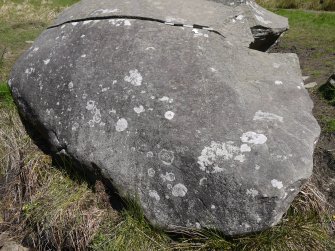 Digital photograph of rock art panel context, Scotland's Rock Art Project, Drumfad, Cowal, Argyll and Bute
