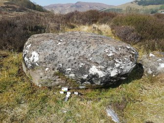 Digital photograph of panel in context with scale, from Scotland's Rock Art Project, Camas Luinie, Highland