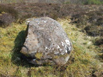 Digital photograph of panel to east, from Scotland's Rock Art Project, Camas Luinie, Highland