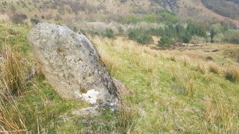 Digital photograph of panel in context without scale, from Scotland's Rock Art Project, Carr, Highland