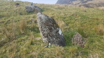 Digital photograph of panel in context with scale, from Scotland's Rock Art Project, Carr, Highland