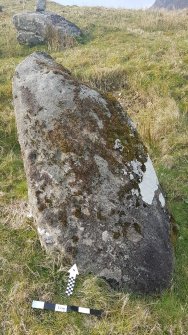 Digital photograph of panel to north, from Scotland's Rock Art Project, Carr, Highland