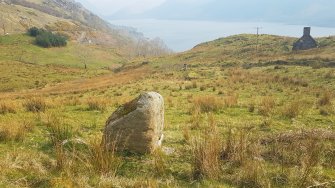 Digital photograph of panel in context without scale, from Scotland's Rock Art Project, Carr, Highland