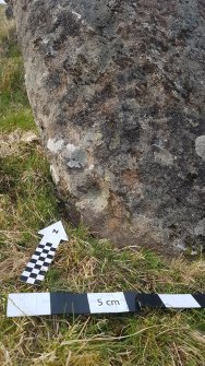 Digital photograph of close ups of motifs, from Scotland's Rock Art Project, Carr, Highland