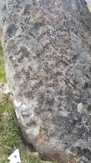 Digital photograph of close ups of motifs, from Scotland's Rock Art Project, Carr, Highland