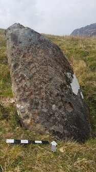 Digital photograph of panel to north, from Scotland's Rock Art Project, Carr, Highland