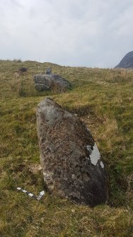 Digital photograph of panel in context with scale, from Scotland's Rock Art Project, Carr, Highland