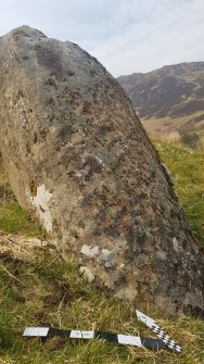 Digital photograph of panel to north, from Scotland's Rock Art Project, Carr, Highland